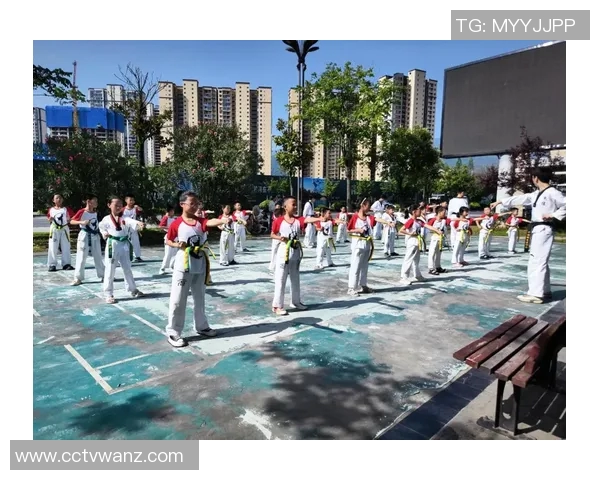 跆拳道与健康生活的完美结合