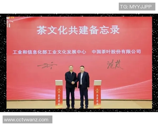 茶文化传承与创新：打造现代茶行为中心的探索与实践