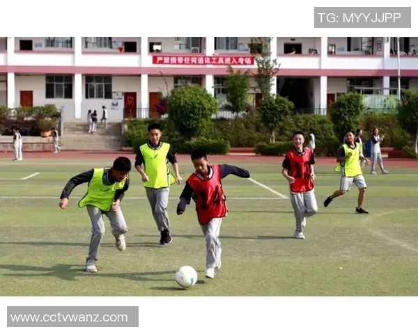 足球球队的崛起与挑战：从青训到国际赛场的辉煌与困境分析